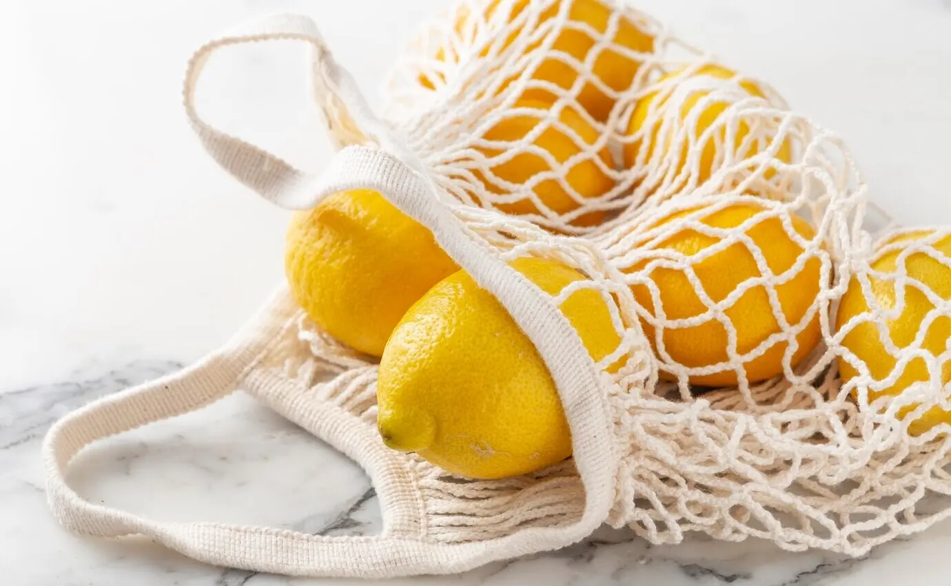 Schildkrötenbeutel mit Zitronen